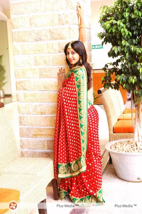 Sanjana Galrani In Saree Diwali Look - Stills | Picture 110829